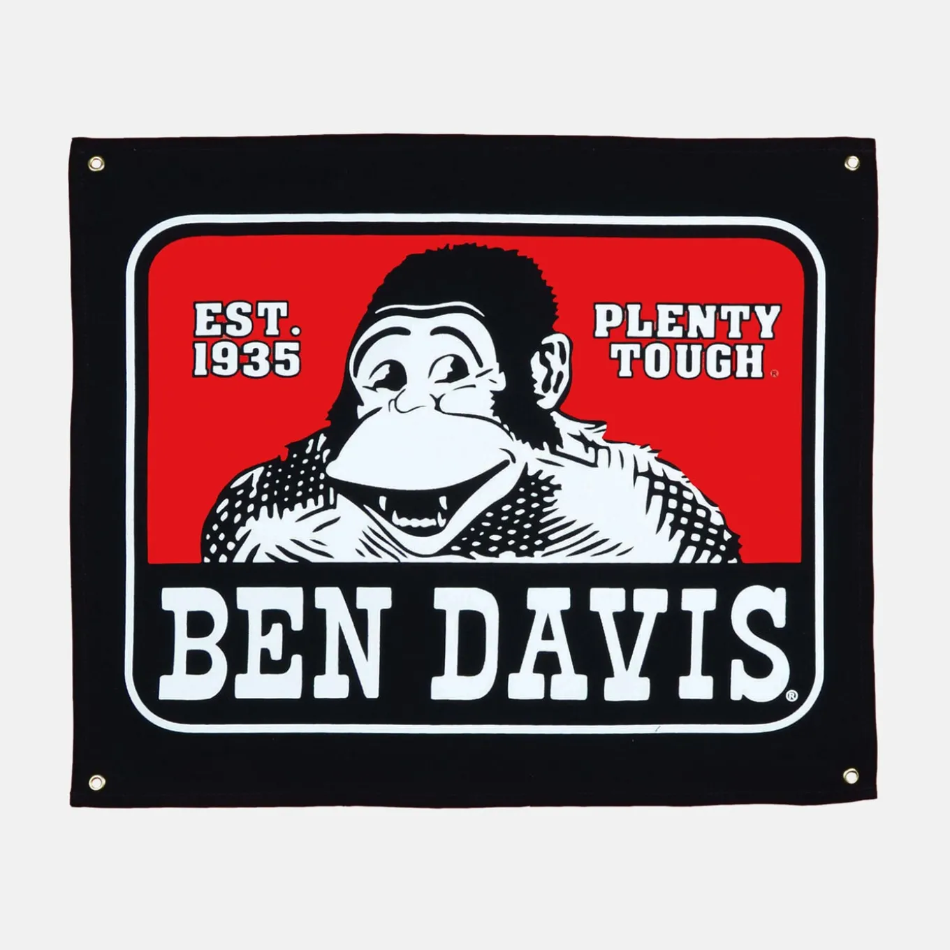 Ben Davis Banner